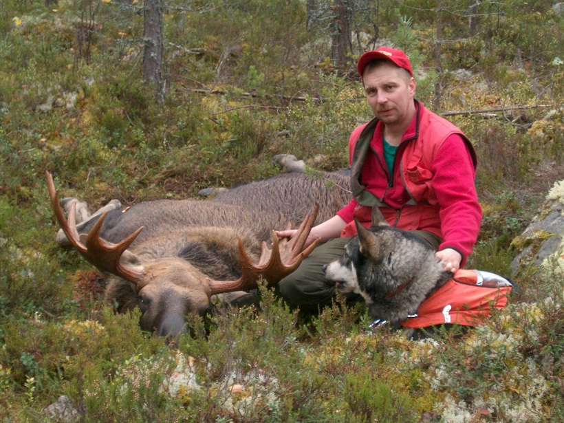 Koiran kanssa metsästävää on onnistanut!